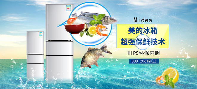 怀卡托大学艺术文凭证书